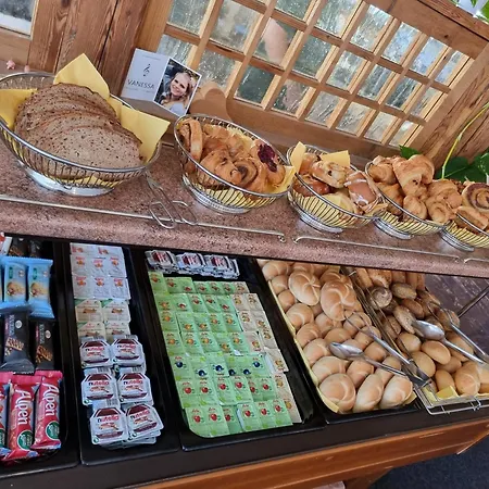 酒店 霍夫海明格酒店 3*